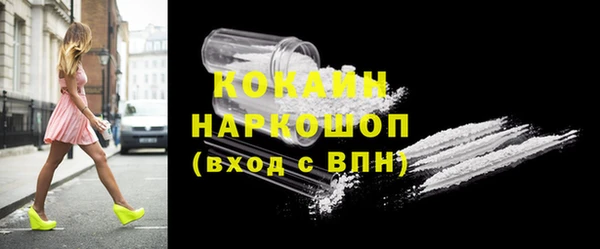 стафф Алзамай